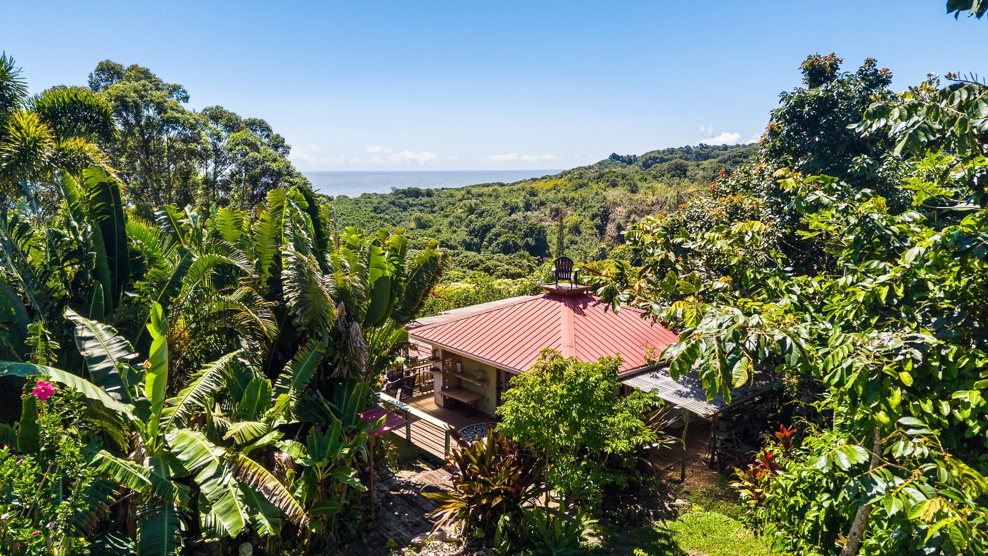 7953 Hana Highway Haiku, HI 96708 - Photo 31 of 46