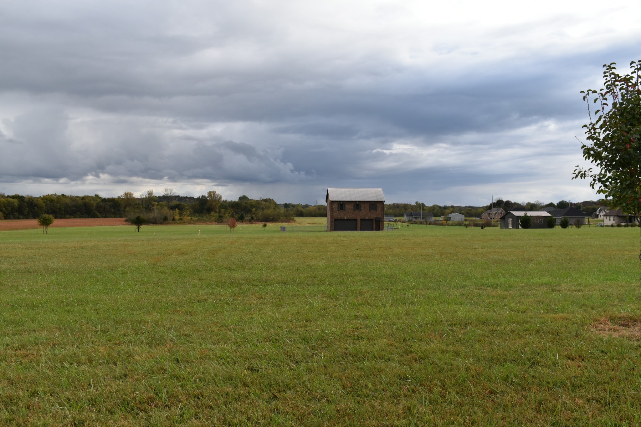 232 Sudberry Road Bell Buckle, TN 37020 - Photo 3 of 10