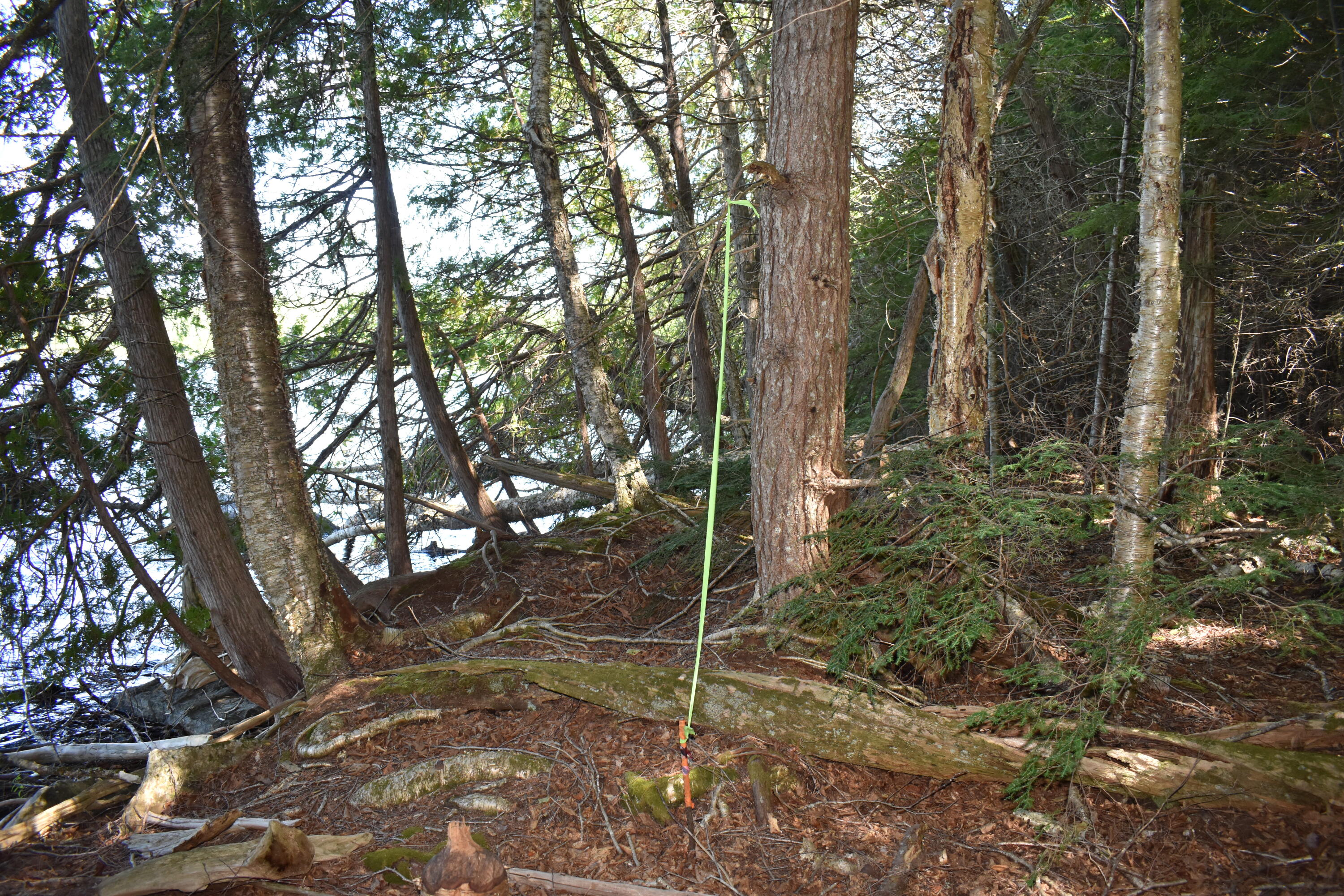 284 Spaulding Pond Road Lakeville, ME 04487 - Photo 33 of 38 DSC_0721