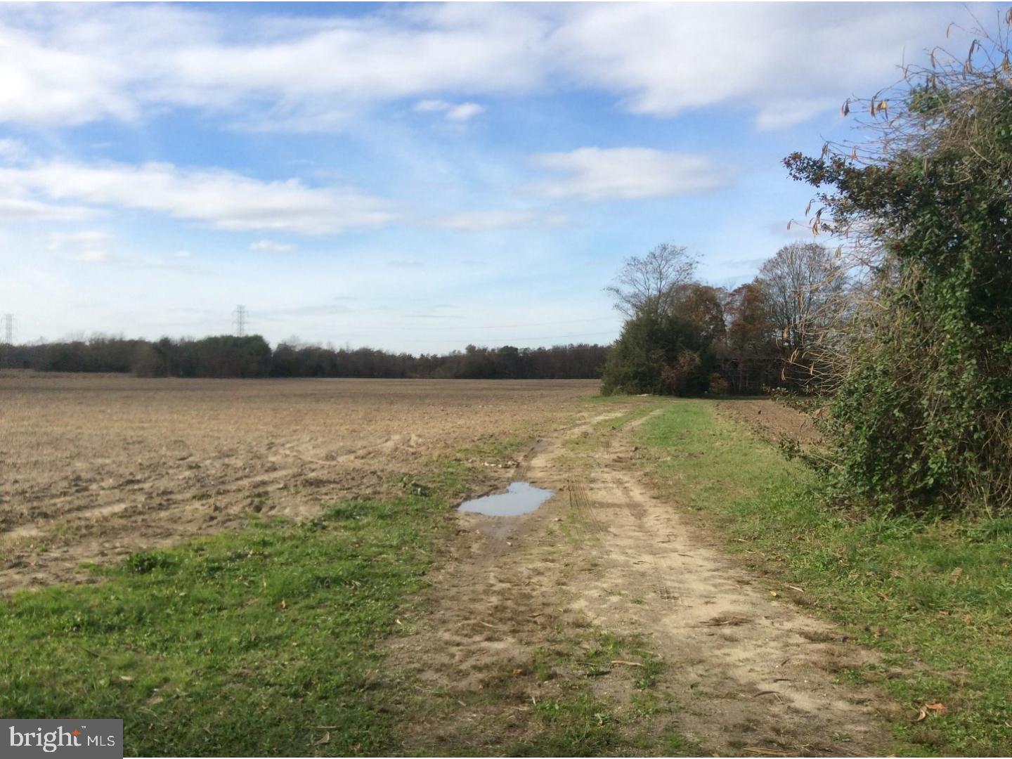 555 Sicklerville Road Sicklerville, NJ 08081 - Photo 6 of 9