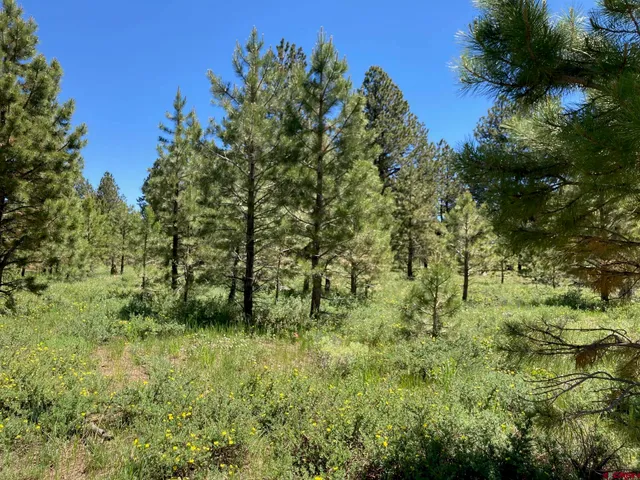 $1,830,000 | 161-ac Tbd Kahvah Lane, Placerville, CO 81430