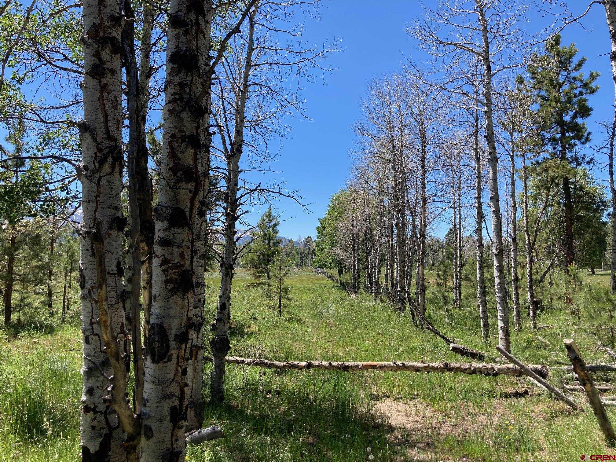 161-ac Tbd Kahvah Lane Placerville, CO 81430 - Photo 12 of 18 a view of lake view