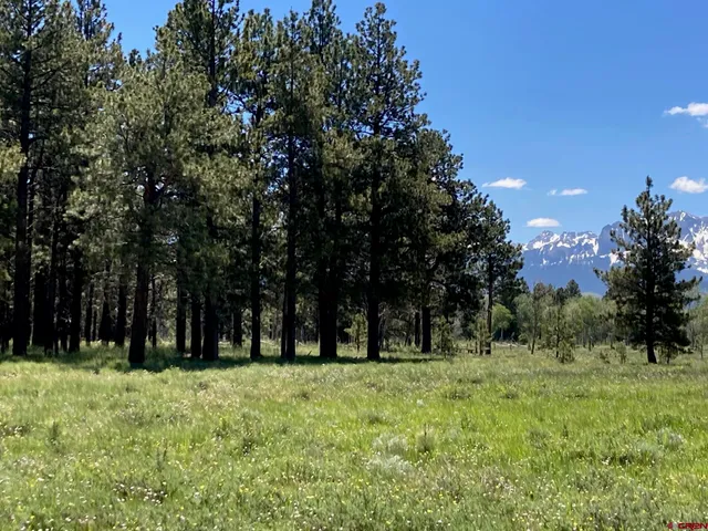 $1,830,000 | 161-ac Tbd Kahvah Lane, Placerville, CO 81430