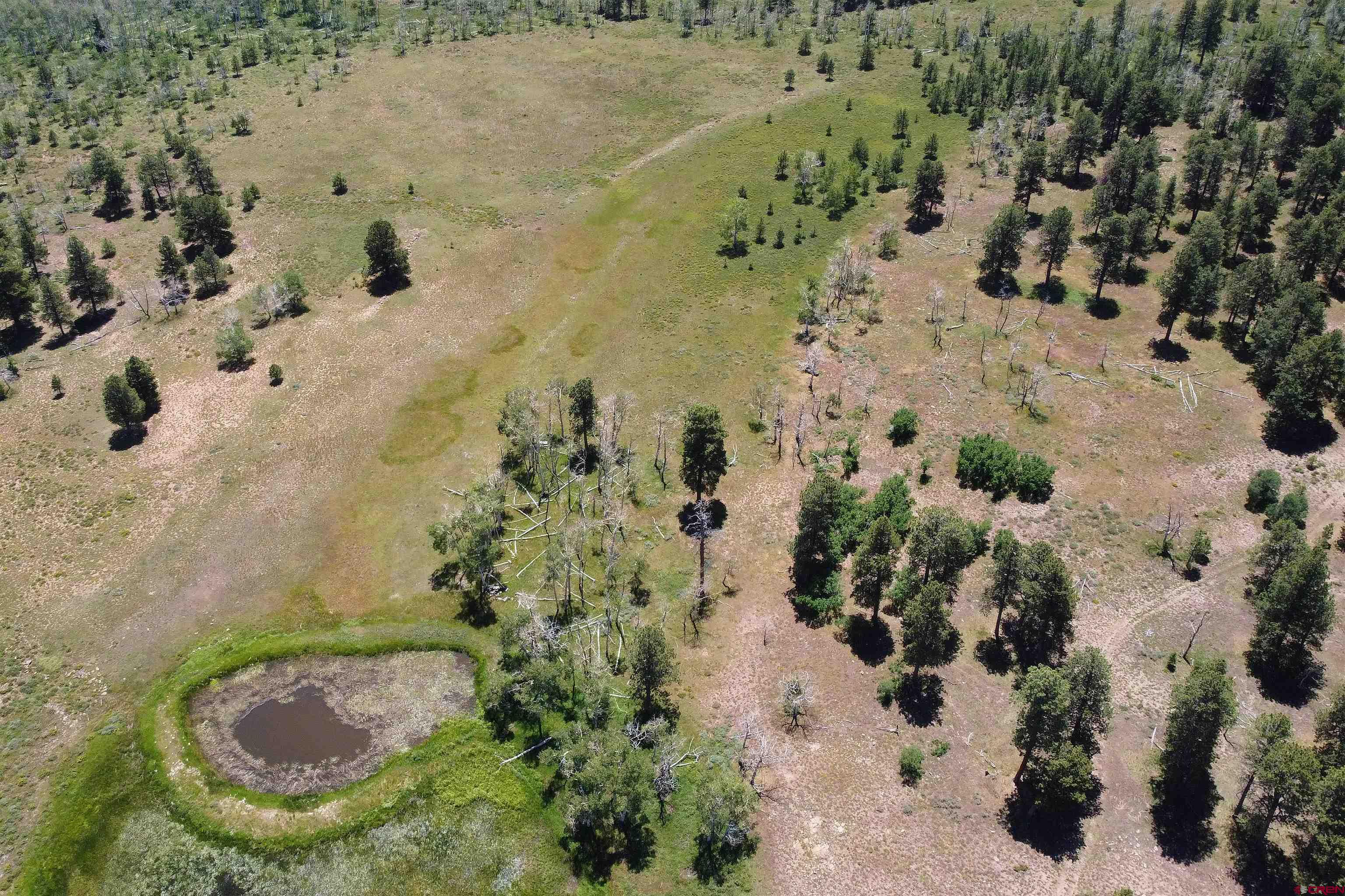 161-ac Tbd Kahvah Lane Placerville, CO 81430 - Photo 8 of 18