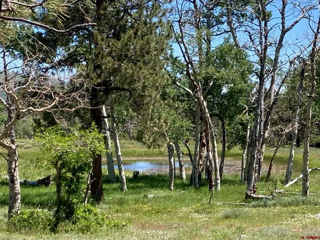 $1,830,000 | 161-ac Tbd Kahvah Lane, Placerville, CO 81430