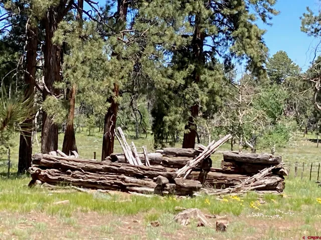 $1,830,000 | 161-ac Tbd Kahvah Lane, Placerville, CO 81430