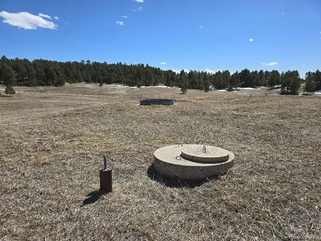 a view of a backyard with a barbeque