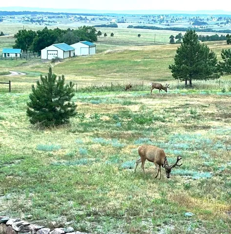a view of a backyard with plants and a bench