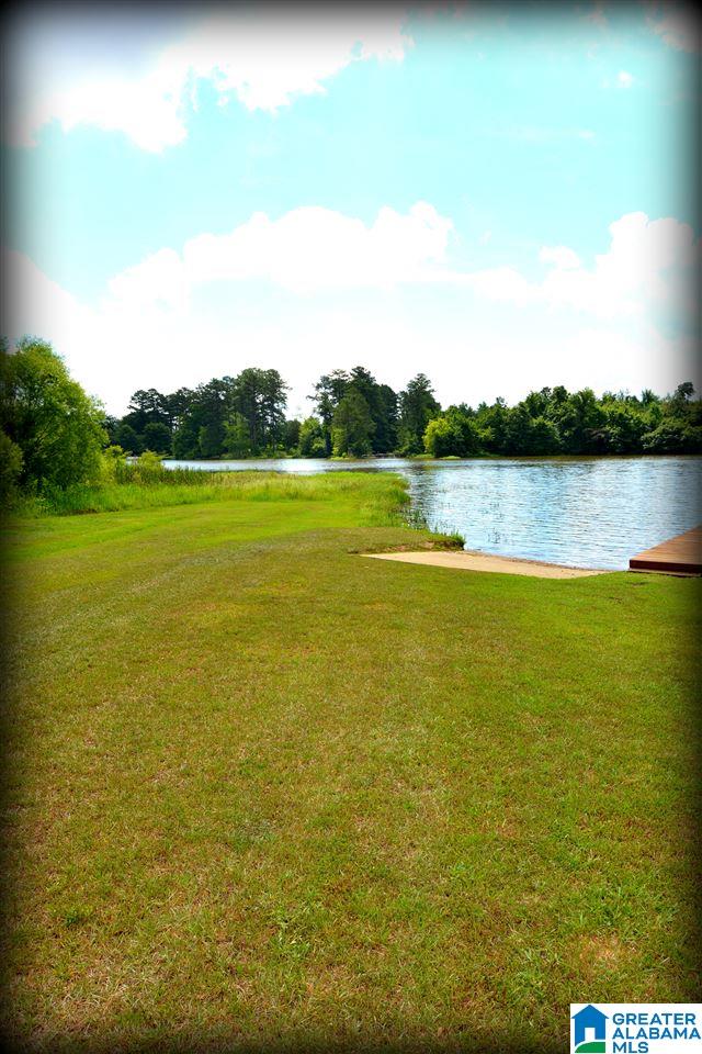 1803 Truss Ferry Road Pell City, AL 35128 - Photo 39 of 49