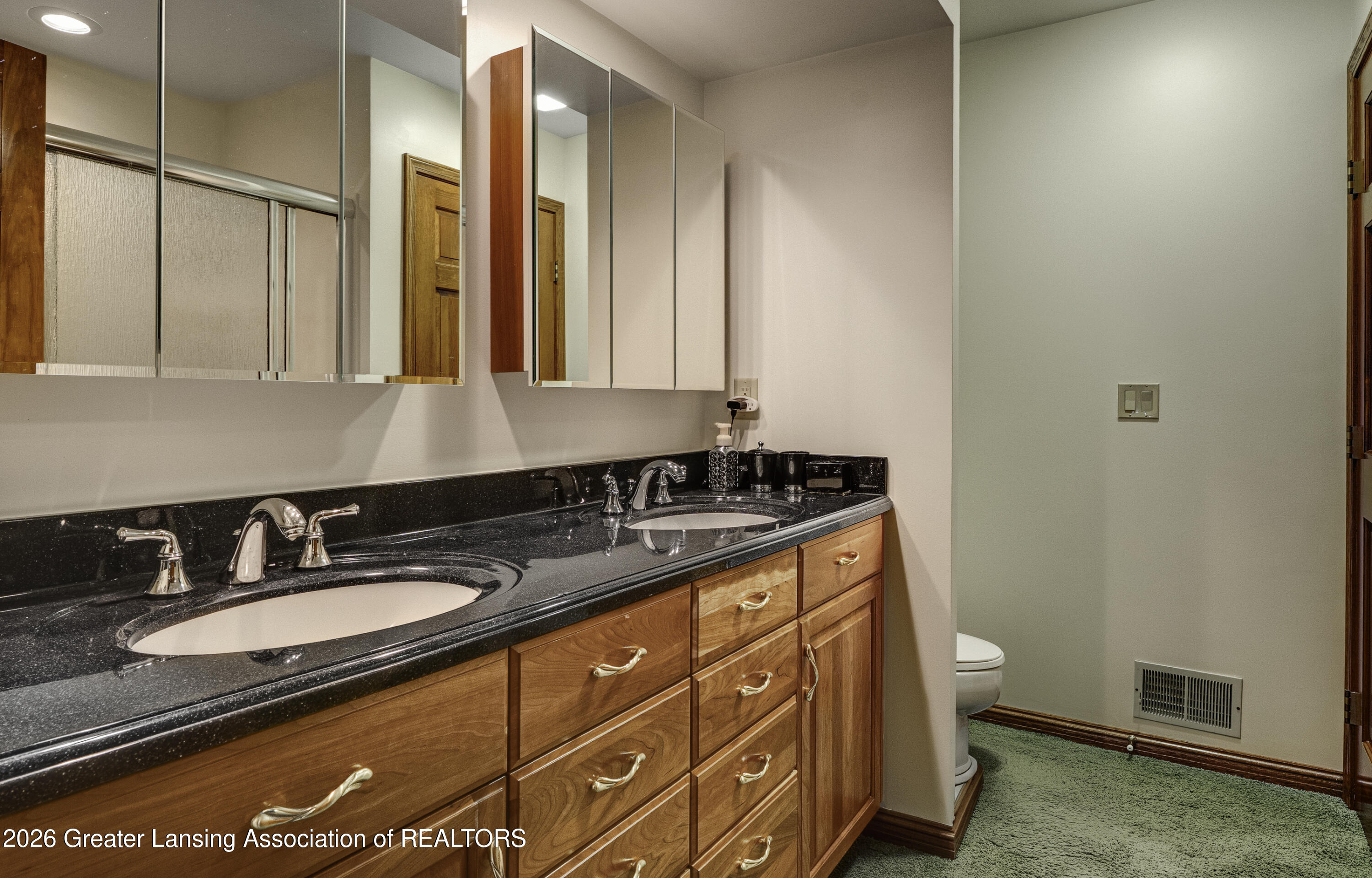559 Creyts Road Dimondale, MI 48821 - Photo 21 of 48 Bathroom