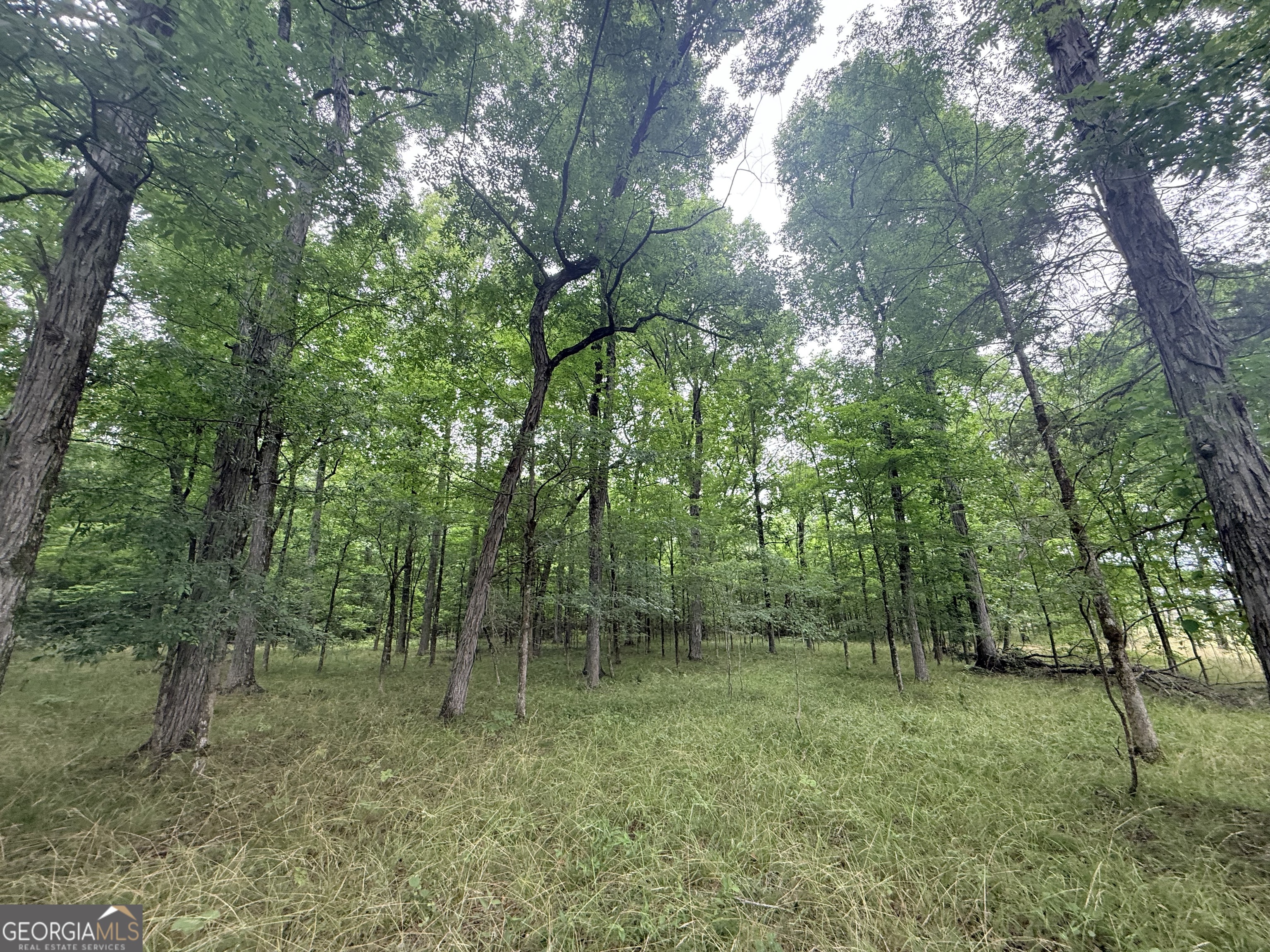 1 Bethesda Church Road Lexington, GA 30648 - Photo 35 of 78