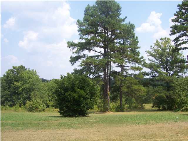 1572 Clement Road LaFayette, GA 30728 - Photo 2 of 6 Additional Photo