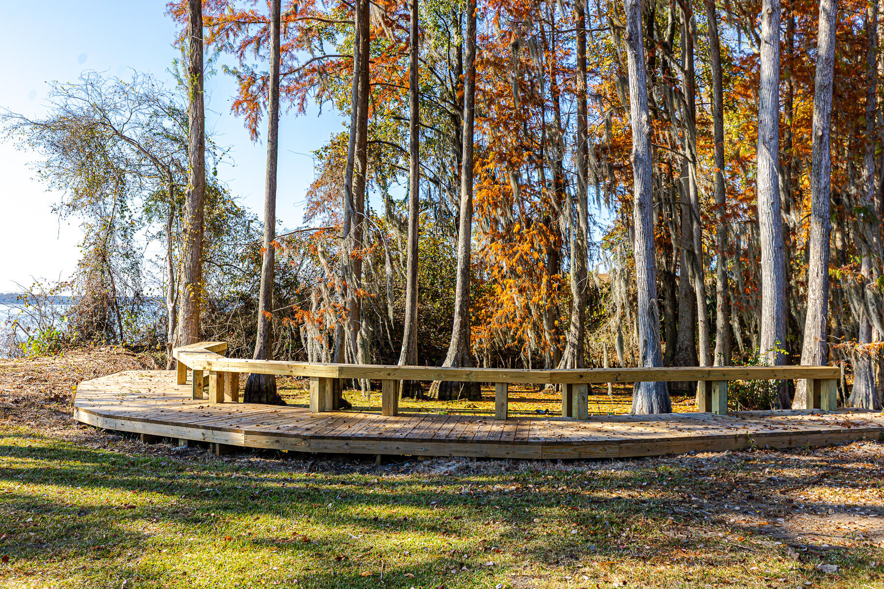 3270 Princess Pond Road Summerton, SC 29148 - Photo 191 of 207 CM-191