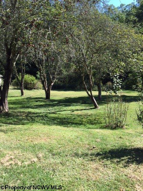 6547 South Rt 20 South Road Adrian, WV 26210 - Photo 5 of 17 Gallery Image 5