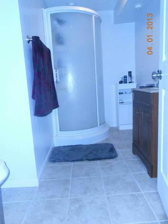 544 Olney Road Vinton, VA 24179 - Photo 17 of 23 a bathroom with a shower