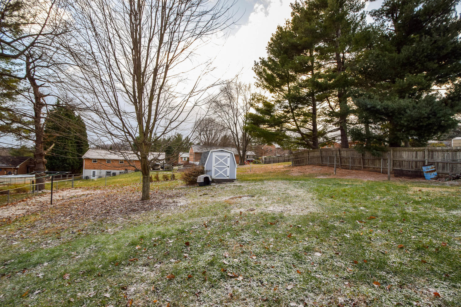 544 Olney Road Vinton, VA 24179 - Photo 22 of 23 a view of backyard with tree