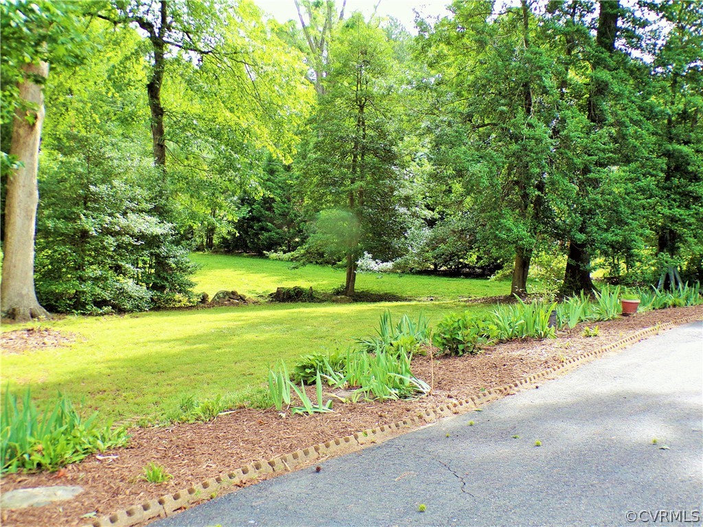 3651 Markey Road Midlothian, VA 23112 - Photo 8 of 21 a view of a garden with a trees