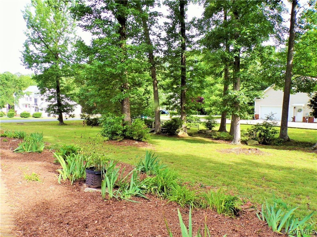 3651 Markey Road Midlothian, VA 23112 - Photo 9 of 21 a view of a yard with plants and trees