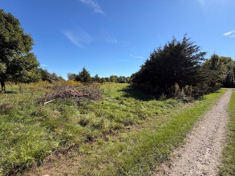 14207 200 East Road Fithian, IL 61844 - Photo 73 of 100 Gallery Image 73