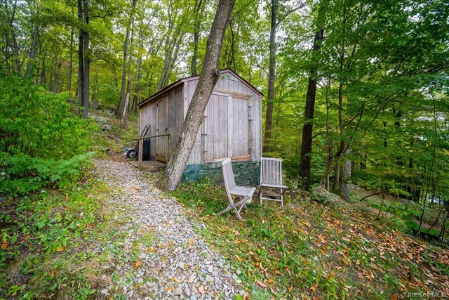 a view of a lush green forest with a mountain