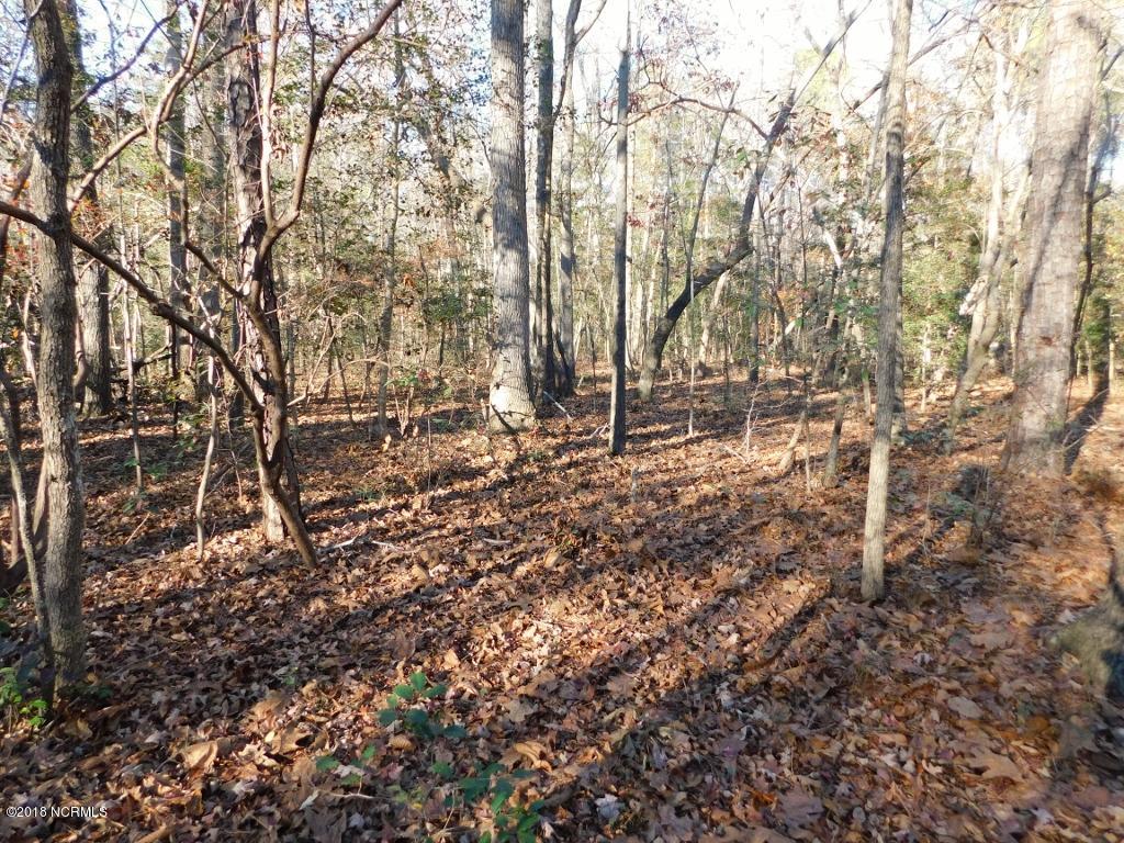 26.89 Bynum Farm Road Pinetops, NC 27864 - Photo 24 of 43 24 (1024x768)