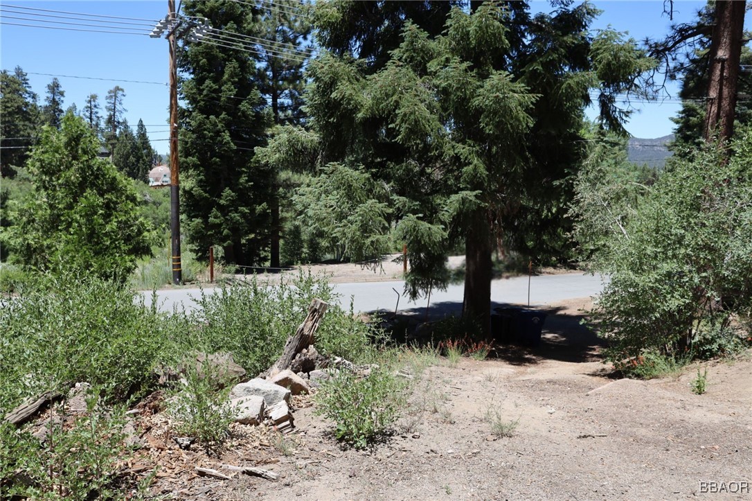 1013 Knickerbocker Road Big Bear Lake, CA 92315 - Photo 6 of 10 a view of outdoor space and yard