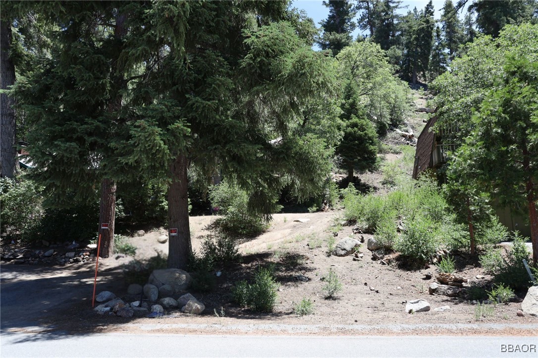 1013 Knickerbocker Road Big Bear Lake, CA 92315 - Photo 7 of 10 a view of a yard with a tree