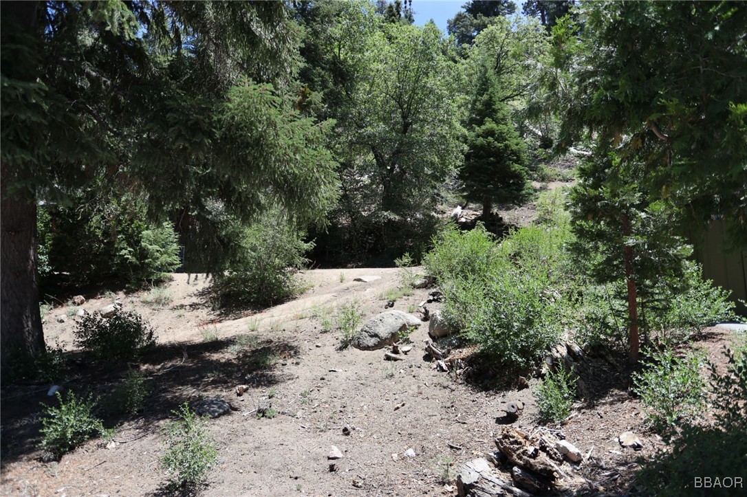 1013 Knickerbocker Road Big Bear Lake, CA 92315 - Photo 8 of 10 a view of a backyard of a house