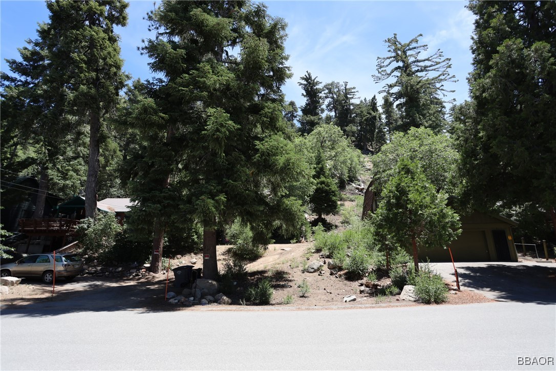 1013 Knickerbocker Road Big Bear Lake, CA 92315 - Photo 9 of 10 a street view with sitting space