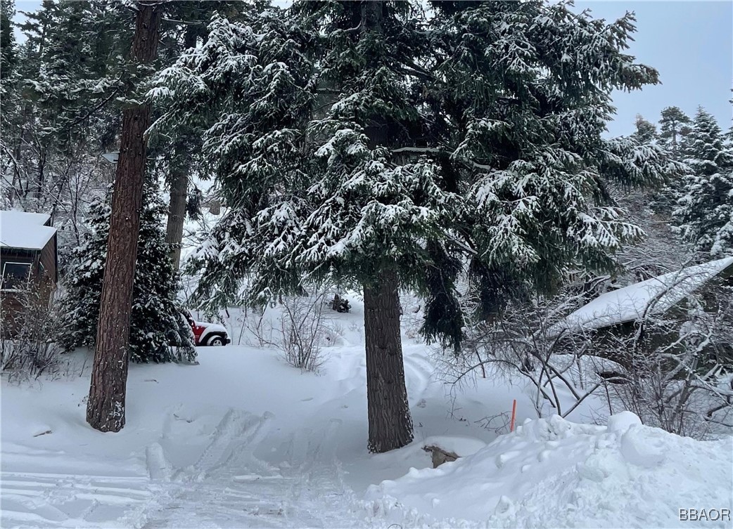 1013 Knickerbocker Road Big Bear Lake, CA 92315 - Photo 10 of 10 a view of outdoor space with trees