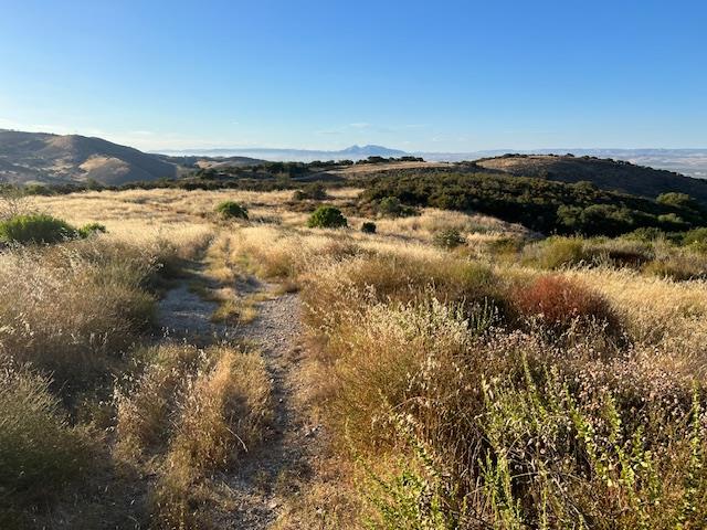 0 Pine Canyon Road King City, CA 93930 - Photo 9 of 12