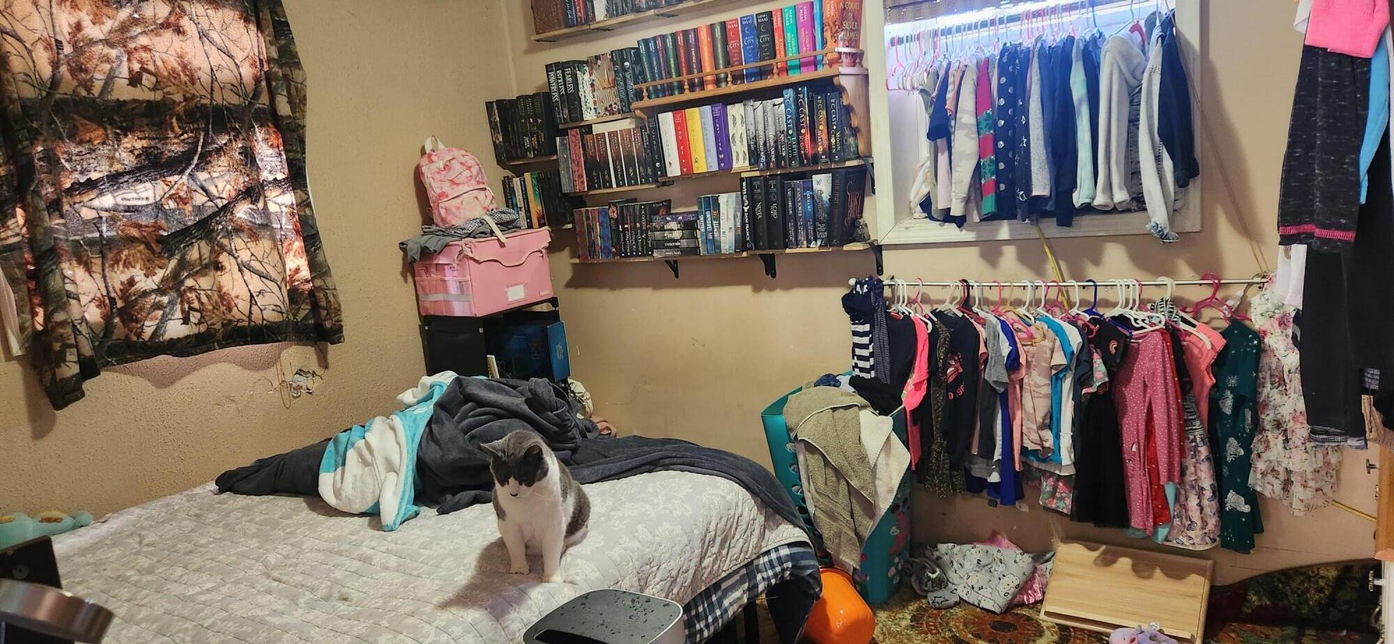 4039 North Pleasant Road Hillsdale, MI 49242 - Photo 5 of 14 20260219_140041