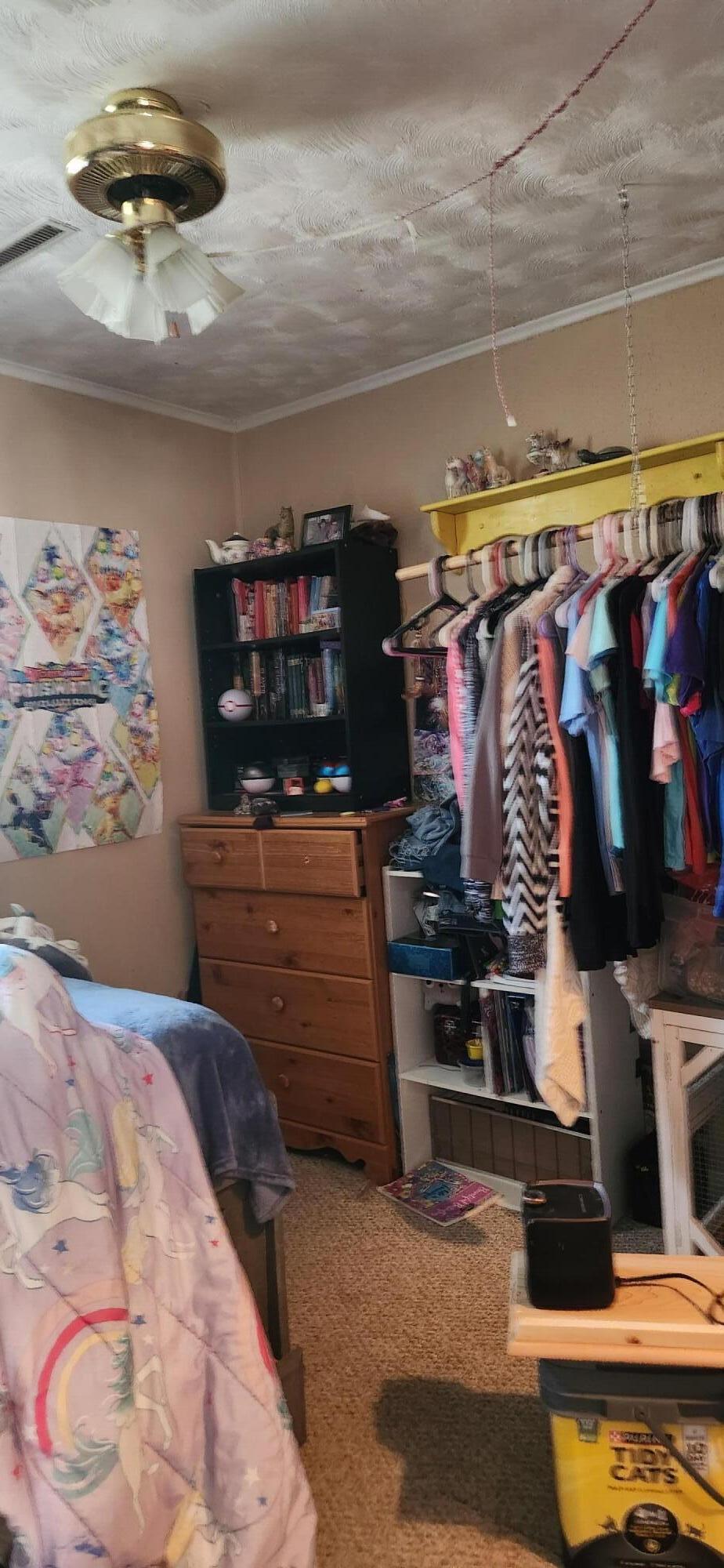 4039 North Pleasant Road Hillsdale, MI 49242 - Photo 7 of 14 20260219_135127