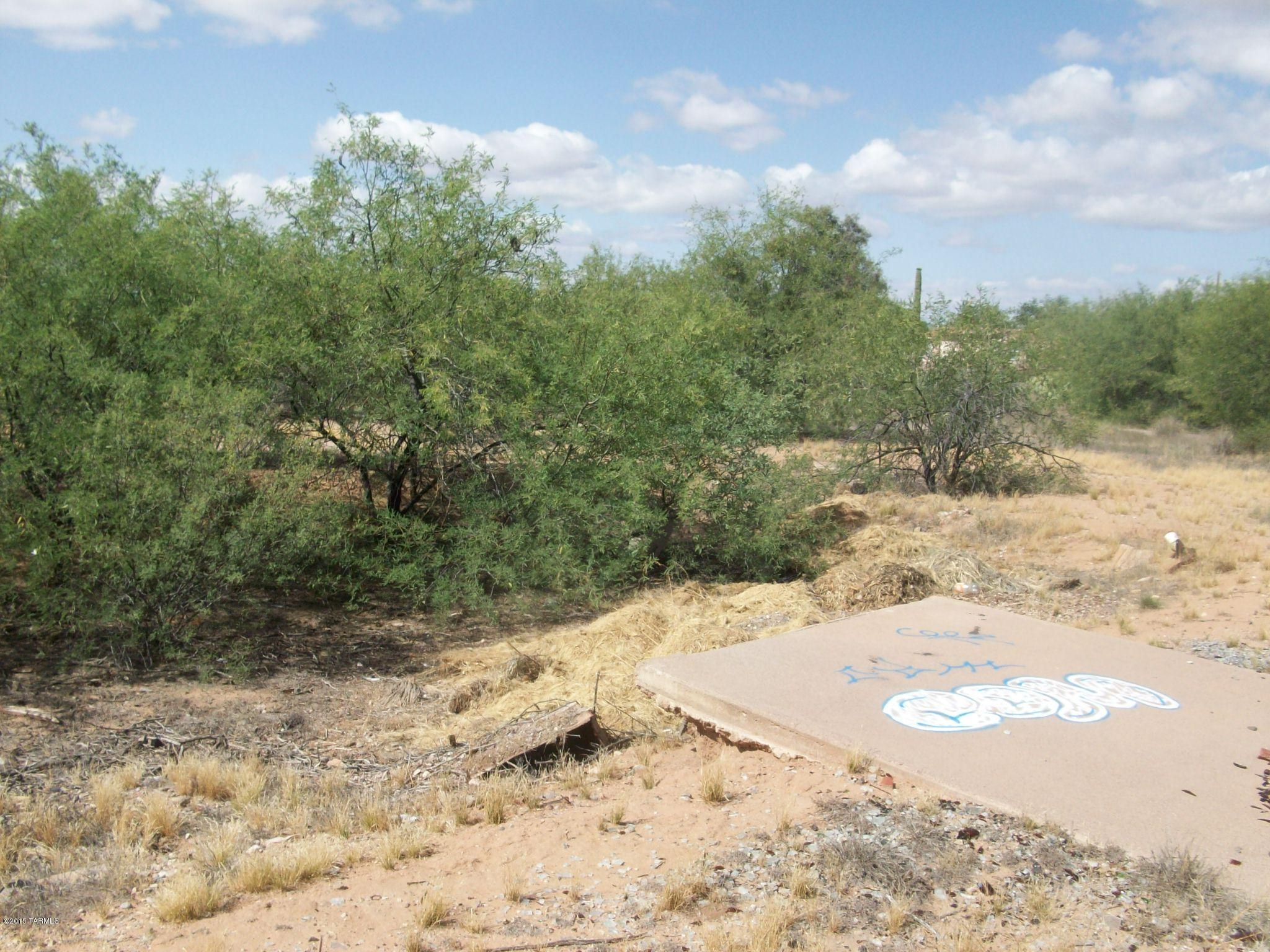16155 West El Tiro Road Marana, AZ 85653 - Photo 4 of 7