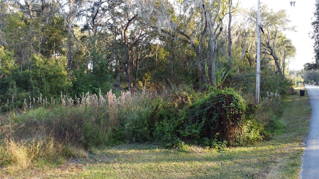 210 Fields Road Lakeland, FL 33801 - Photo 16 of 18 a view of a yard
