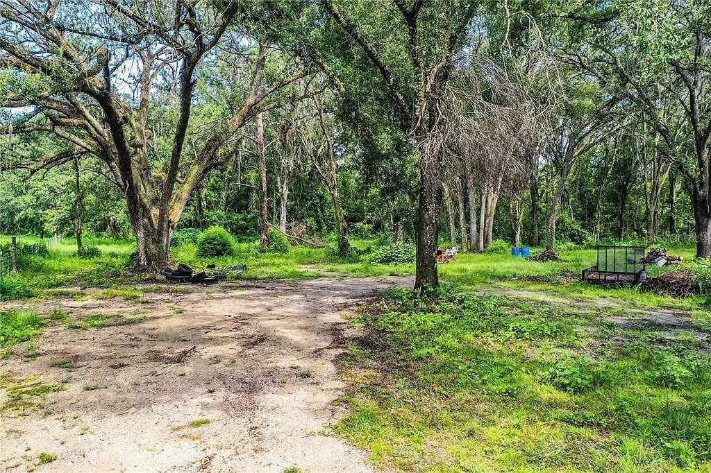 210 Fields Road Lakeland, FL 33801 - Photo 3 of 18 a view of a tree in a yard