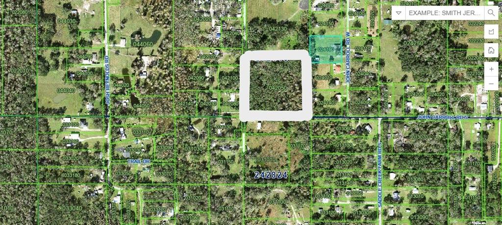 210 Fields Road Lakeland, FL 33801 - Photo 6 of 18 a close up of a plant in a garden