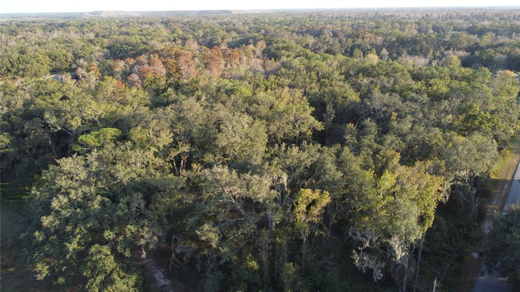 210 Fields Road Lakeland, FL 33801 - Photo 10 of 18 an aerial view of forest