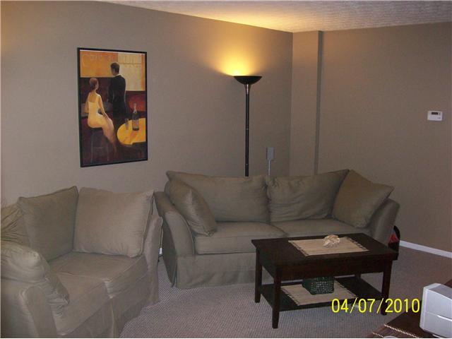 118 Ravine Ridge Drive South Powell, OH 43065 - Photo 2 of 17 Gallery Image 2