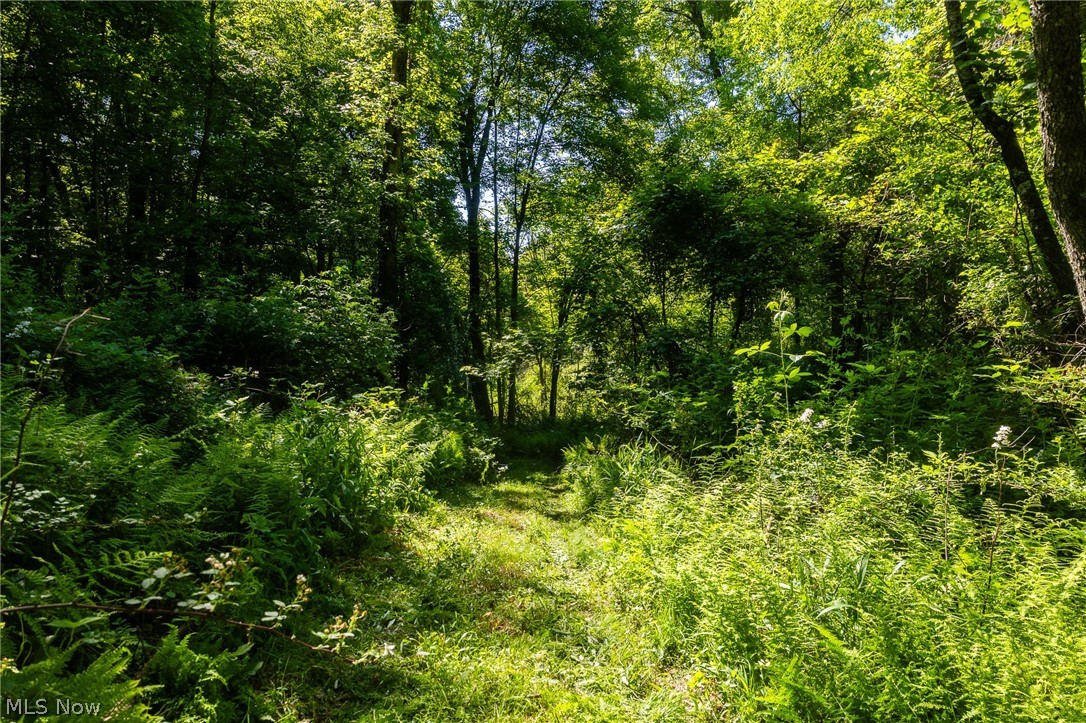 Ridge Road Minerva, OH 44657 - Photo 24 of 49