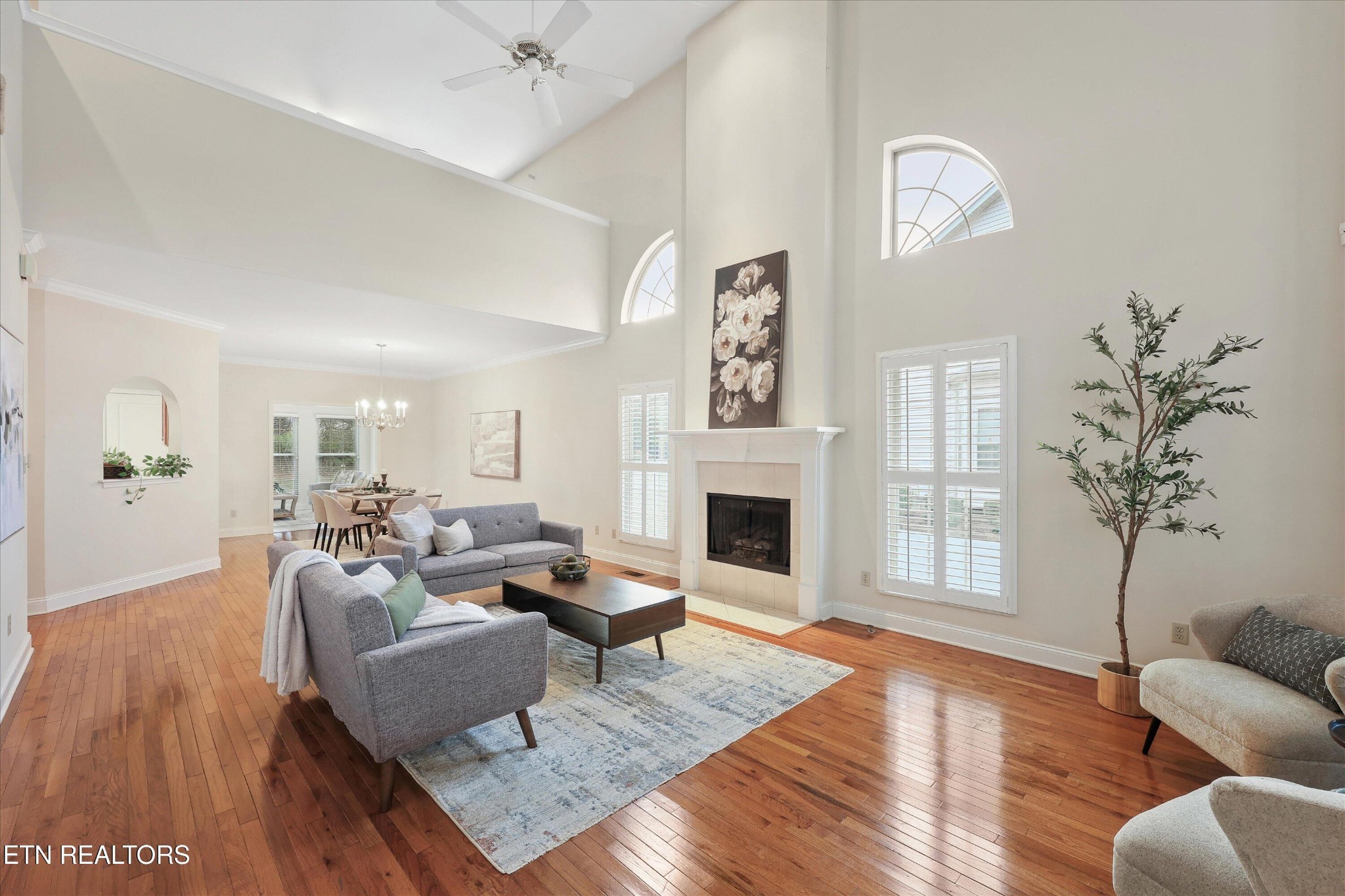 316 English Station Road Knoxville, TN 37934 - Photo 4 of 45 a living room with furniture a fireplace and a potted plant