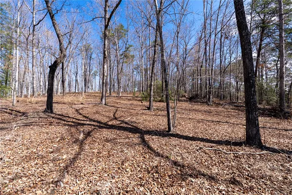 $325,000 | Lot 12 Fairway's Edge Drive, Salem, SC 29676