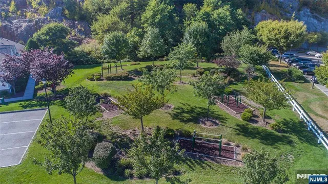 a view of a garden with plants and a bench