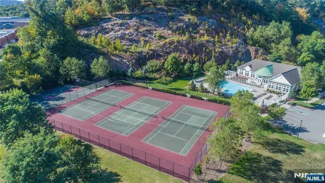 an aerial view of a tennis ground and large trees