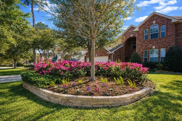 a view of a garden with flowers and flowers