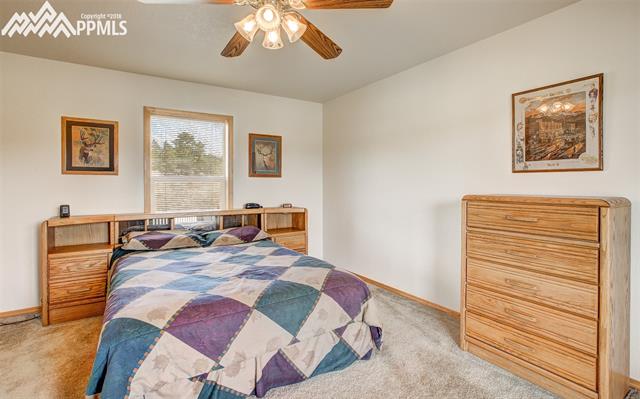 243 High Pasture Road Florissant, CO 80816 - Photo 10 of 27