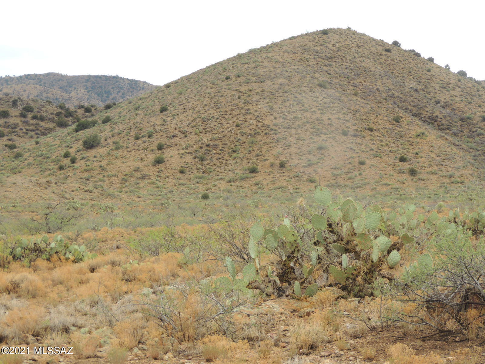 40.82 Acres Mulkins Ranch Road, Unit 11 Bowie, AZ 85605 - Photo 7 of 17
