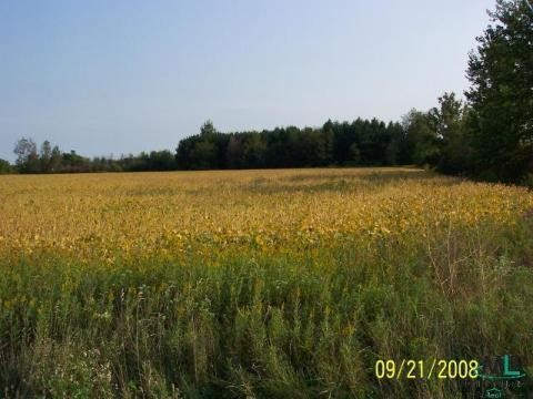 2205 Wales Center Road Goodells, MI 48027 - Photo 1 of 8 877170.JPG