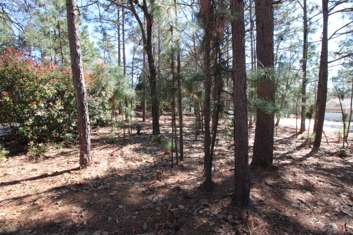 280 Fieldcrest Road Southern Pines, NC 28387 - Photo 26 of 26 IMG_0044