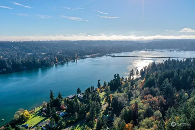 a view of a lake with a city